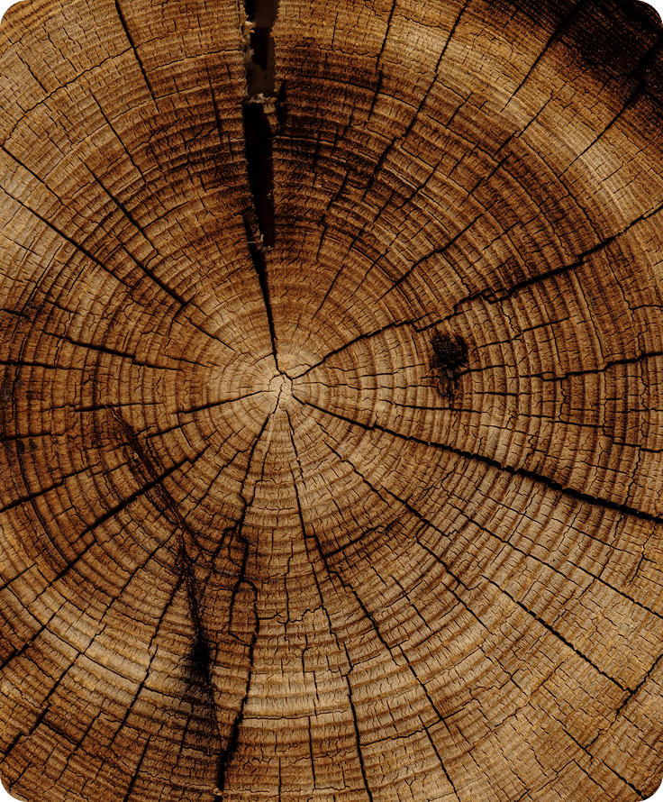 Venature naturali del legno che mostrano la versatilità della marcatura laser